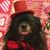 Paula Mahoney's profile image
