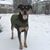 Cynthia Holmes Sullivan's profile image