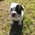 Evette Koshinski's profile image