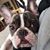 Peter Hapner's profile image