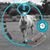 Valerie Poulter Stone's profile image