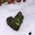 Mary Pilliod Curtis's profile image