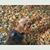 Joann Sunday's profile image