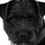 Justine Olson's profile image