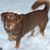 Dorothy K Carroll's profile image