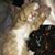 Mary Murphy's profile image