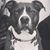 Erin Dayton's profile image