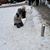 Sowjanya B Ramesh's profile image