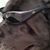 Frank Briguglio's profile image
