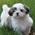 Lonnie Hindman's profile image