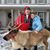 Steve Ahlrichs's profile image