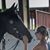 Lillie Baxter's profile image