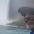 Bill Kubik's profile image