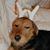 William W Bishop Jr's profile image