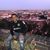 Fernando Cortes Jr.'s profile image