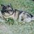 Vicki Eberle's profile image