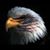 Sherry Binder Nikodem's profile image