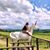 Kimberley Graham's profile image
