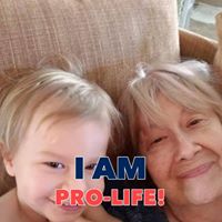 Phyllis Corrado's profile image