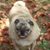 Angie Legge Newlin's profile image