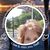 Cindy Graybill's profile image