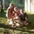 Carol Deacon McParland's profile image