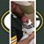Josh Mattingly's profile image