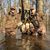 Stacy Bryant Hawkins's profile image