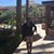 Naty Yanes's profile image