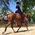 Jocelyn MacDonald's profile image
