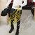 Lmran Muhammad's profile image