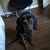 William Schneider's profile image