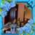 Les Cocroft's profile image