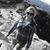 Mandy Calder Humphreys's profile image