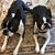 Corinne Marrinan Tripp's profile image