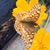 Mary Robbins Ray's profile image