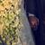 Aseel Jarrah's profile image