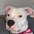 Dawn Anderson-Perkins's profile image