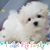 Lori Cope's profile image