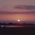 Monica Heinz's profile image