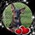Donna Harper's profile image