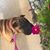 Josie Song Buffo's profile image