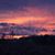 Lynne Govoni Geers's profile image