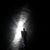 Tony Venegoni's profile image