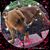 Dogman Jones's profile image