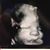 Randi Noel's profile image