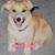 Diane Martinez Brosamer's profile image