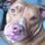 Deli Smith's profile image