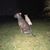 Darryl Nephew's profile image