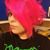 Jessica Scruggs's profile image